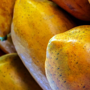 Papaya