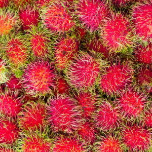 Rambutan