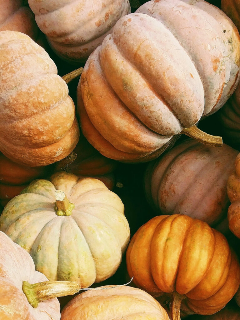 Calabaza