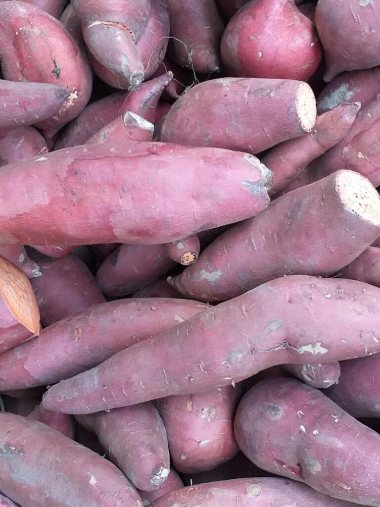 camote