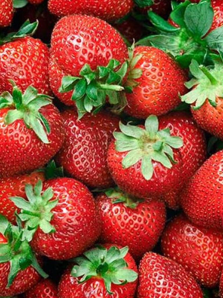Fresas